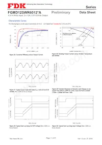 FGMD12SWR6012PA Datasheet Page 11