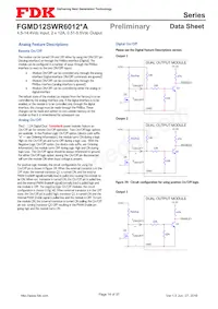 FGMD12SWR6012PA Datasheet Pagina 14