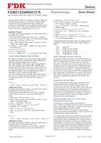 FGMD12SWR6012PA Datasheet Pagina 20