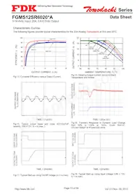 FGMS12SR6020PA Datasheet Page 13