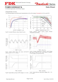 FGMS12SR6020PA Datasheet Page 15