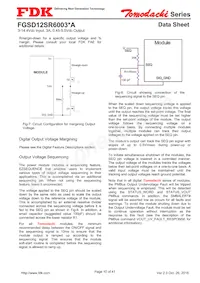 FGSD12SR6003PA Datasheet Pagina 10