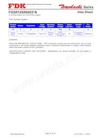 FGSR12SR6003PA Datasheet Pagina 23