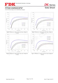 FPDK12SR8003PSV Datenblatt Seite 12