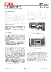 FPDK18S5R003PSV Datasheet Pagina 7