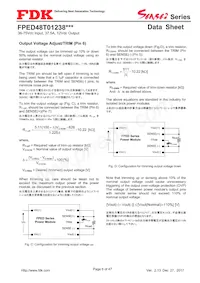 FPED48T01238NA-H Datasheet Page 6