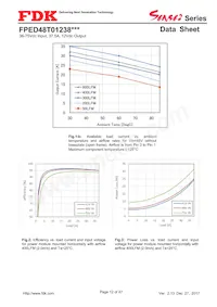 FPED48T01238NA-H Datasheet Pagina 12