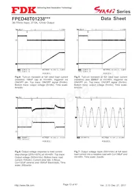 FPED48T01238NA-H Datasheet Pagina 13