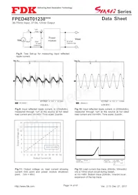 FPED48T01238NA-H Datasheet Pagina 14