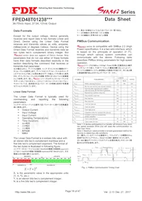 FPED48T01238NA-H Datasheet Pagina 18