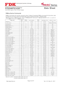 FPED48T01238NA-H Datasheet Pagina 19