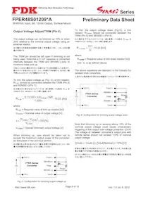 FPER48S01209NA Datasheet Page 6