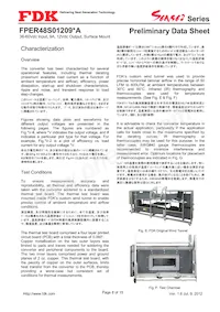 FPER48S01209NA Datasheet Page 8