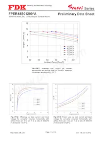 FPER48S01209NA Datasheet Page 11