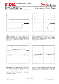 FPER48S01209NA Datasheet Page 12