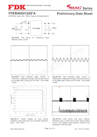 FPER48S01209NA Datasheet Pagina 13