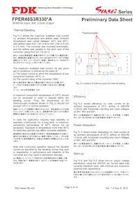 FPER48S3R330NA Datasheet Pagina 9