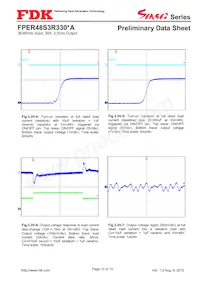 FPER48S3R330NA Datasheet Page 12