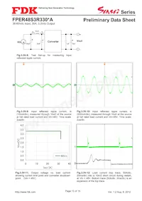 FPER48S3R330NA Datasheet Page 13