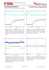 FPER48S5R020NA Datasheet Pagina 12