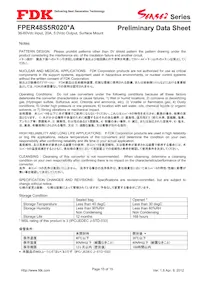 FPER48S5R020NA Datasheet Page 15