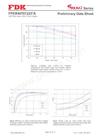 FPER48T01225NA-H 데이터 시트 페이지 12