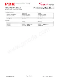 FPER48T01225NA-H Datasheet Pagina 17