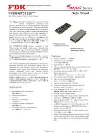 FPER48T01238NL-H Datasheet Cover