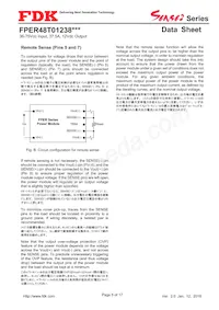 FPER48T01238NL-H Datasheet Page 5