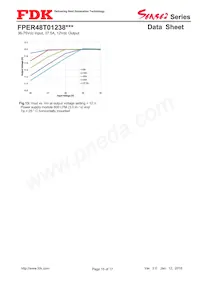 FPER48T01238NL-H Datasheet Pagina 15