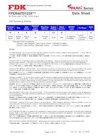 FPER48T01238NL-H Datasheet Pagina 17