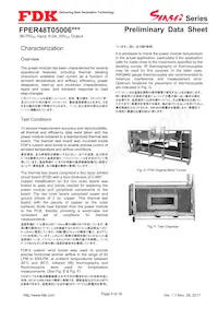 FPER48T05006NL Datasheet Page 8