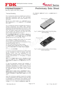 FPER48T05006NL Datasheet Page 9