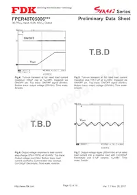 FPER48T05006NL Datenblatt Seite 12