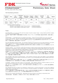 FPER48T05006NL Datasheet Pagina 16