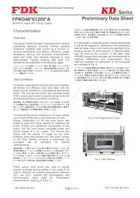 FPKD48T01208PA Datasheet Page 9