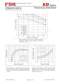 FPKD48T01208PA Datenblatt Seite 11