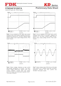 FPKD48T01208PA Datasheet Page 12