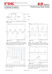 FPKD48T01208PA Datasheet Pagina 13