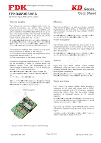 FPKD48T3R330PA Datasheet Pagina 10