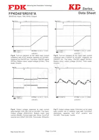 FPKD48T6R016PA 데이터 시트 페이지 12