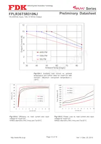 FPLR36T5R010NJ Datasheet Pagina 13