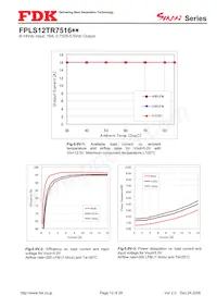 FPLS12TR7516PA Datasheet Pagina 12