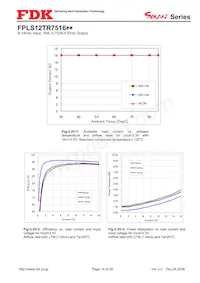 FPLS12TR7516PA Datasheet Pagina 14