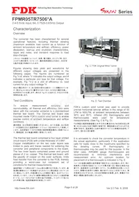 FPMR05TR7506PA Datasheet Page 8