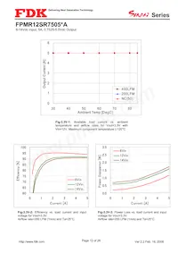 FPMR12SR7505PA Datasheet Page 12