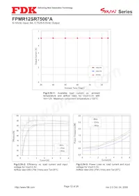 FPMR12SR7506PA Datasheet Page 12