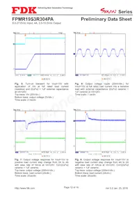 FPMR19S3R304PA Datasheet Page 12