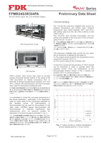 FPMR24S3R304PA Datasheet Page 9