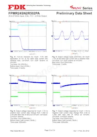 FPMR24SN2R502PA Datasheet Page 12